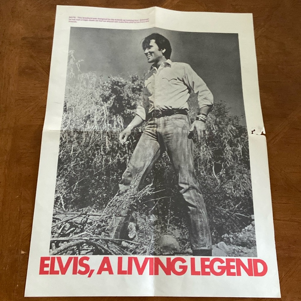 Elvis Vintage Poster